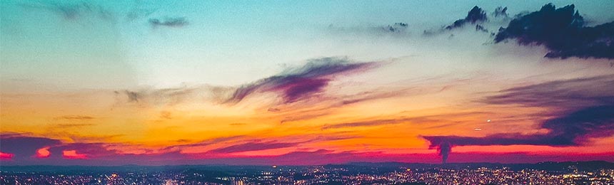 灌南茶虫网_灌南品茶